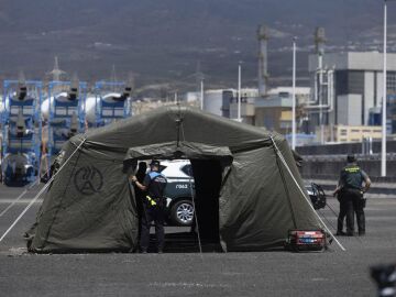 Agentes de la Guardia Civil y de la Polic&iacute;a Portuaria en el puerto de Granadilla, en Tenerife, con motivo de la llegada del crucero MV Hondius