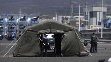 Agentes de la Guardia Civil y de la Polic&iacute;a Portuaria en el puerto de Granadilla, en Tenerife, con motivo de la llegada del crucero MV Hondius