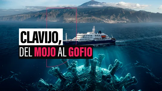 Clavijo, entre el mojo y el gofio por el hantavirus: sus versiones sobre el amarre del crucero o la información de Sanidad Clavijo, entre el mojo y el gofio por el hantavirus: sus versiones sobre el amarre del crucero o la información de Sanidad