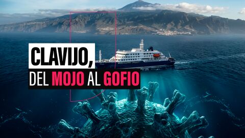 Clavijo, entre el mojo y el gofio por el hantavirus: sus versiones sobre el amarre del crucero o la informaci&oacute;n de Sanidad