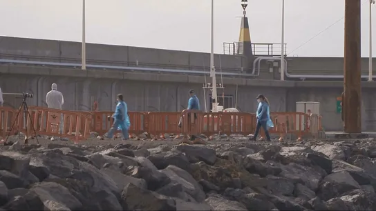 La epidemióloga española clave en el crucero: fue la primera en dar las instrucciones para el aislamiento dentro del barco La epidemióloga española clave en el crucero: fue la primera en dar las instrucciones para el aislamiento dentro del barco