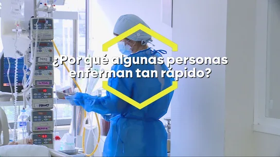 La importancia del sistema inmunitario, los asintomáticos y los supercontagiadores: así funciona el hantavirus La importancia del sistema inmunitario, los asintomáticos y los supercontagiadores: así funciona el hantavirus