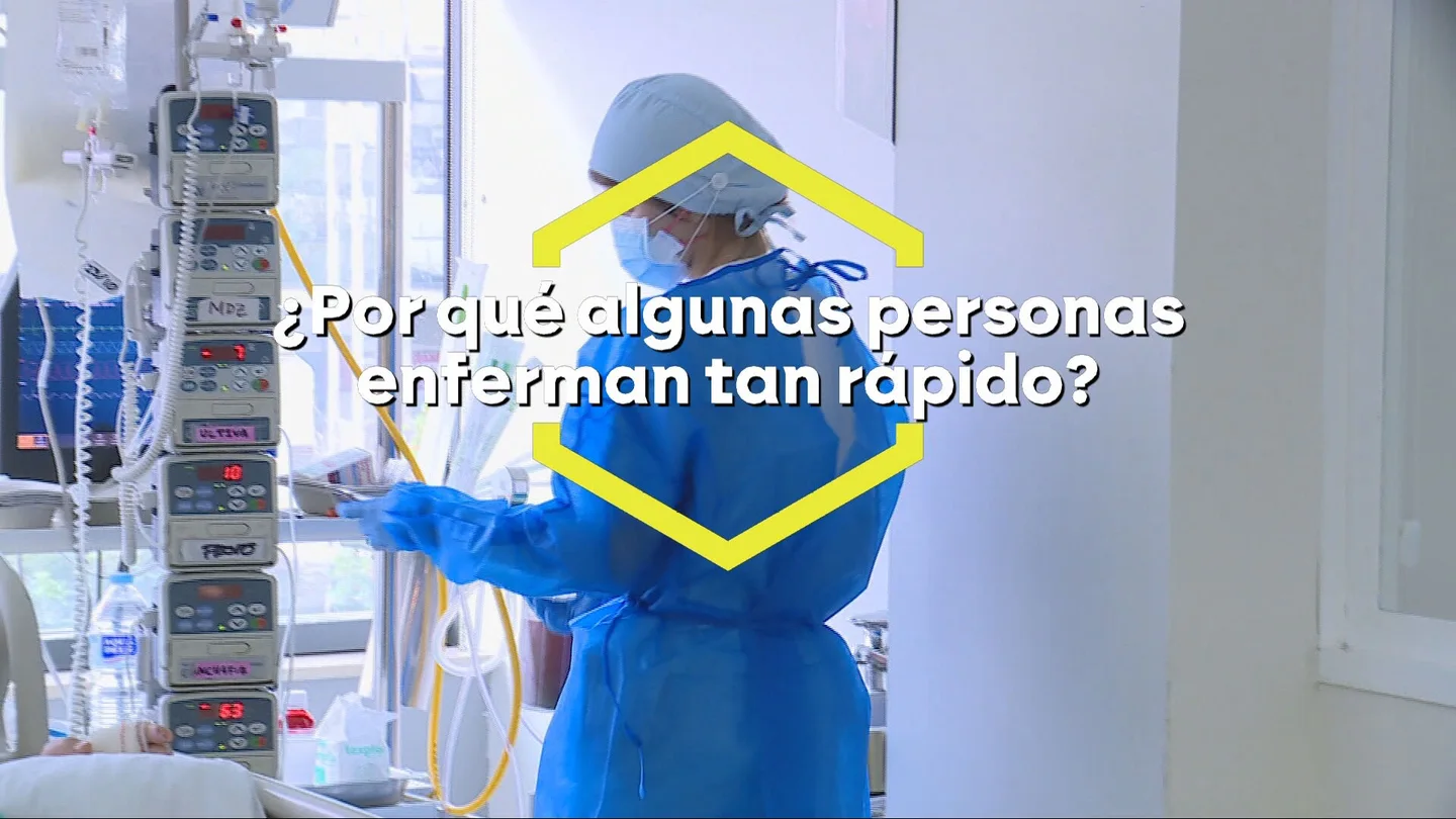 La importancia del sistema inmunitario, los asintomáticos y los supercontagiadores: así funciona el hantavirus La importancia del sistema inmunitario, los asintomáticos y los supercontagiadores: así funciona el hantavirus