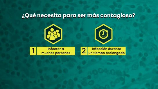 &iquest;Qu&eacute; necesita el hantavirus para ser m&aacute;s contagiosa?