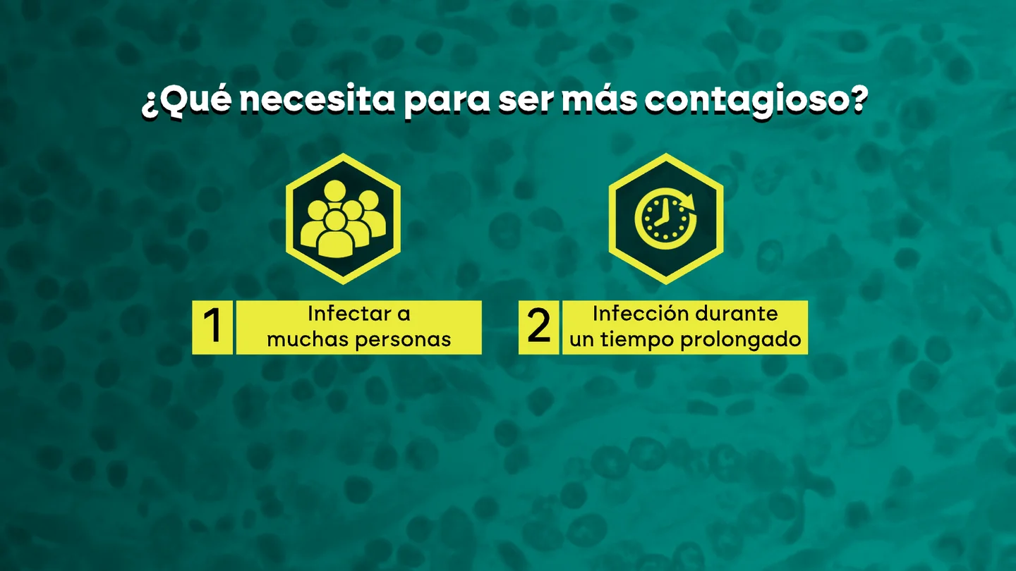 ¿Qué necesita el hantavirus para ser más contagiosa? ¿Qué necesita el hantavirus para ser más contagiosa?