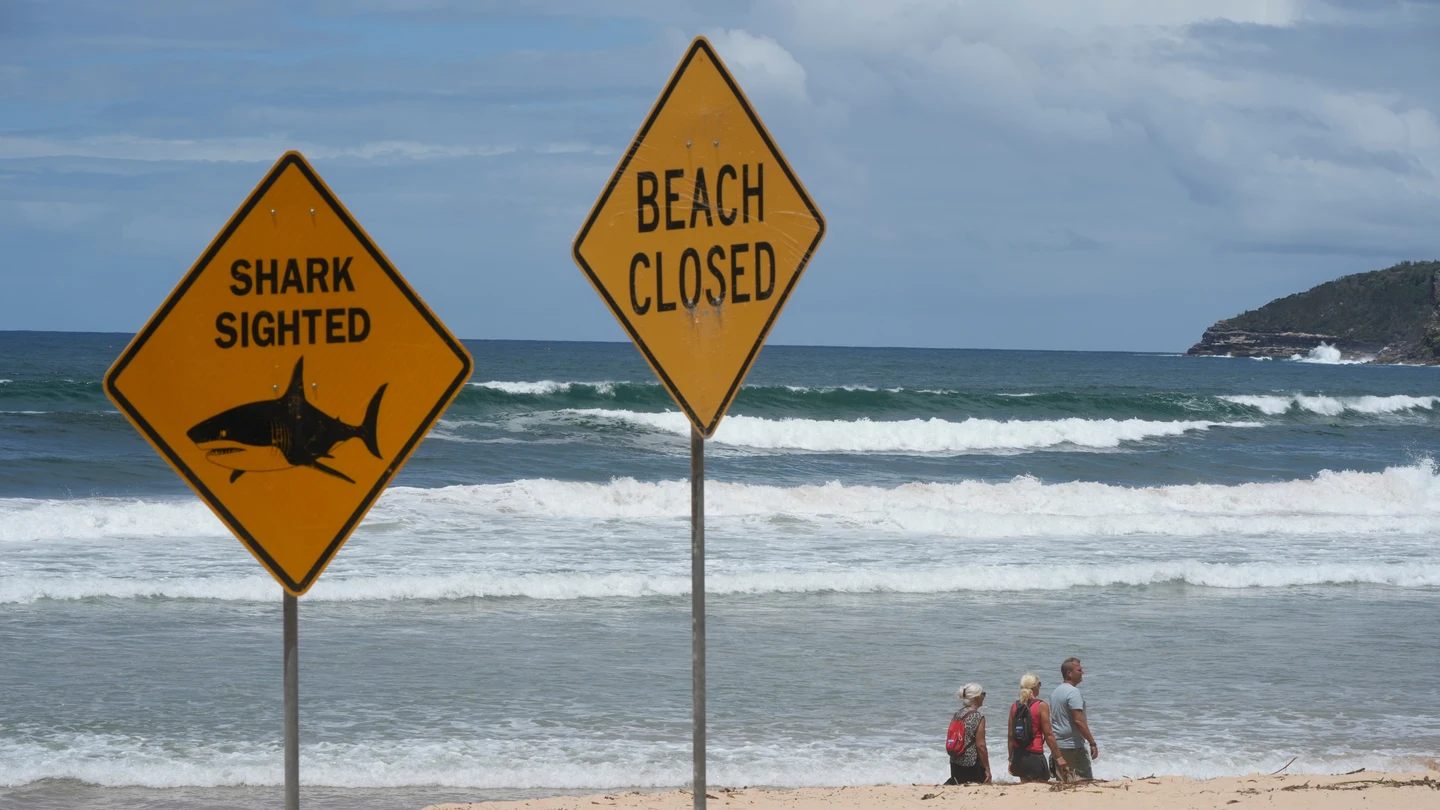 Imagen de archivo de una playa en Australia abierta ante el avistamiento de tiburones Imagen de archivo de una playa en Australia abierta ante el avistamiento de tiburones