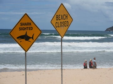 Imagen de archivo de una playa en Australia abierta ante el avistamiento de tiburones