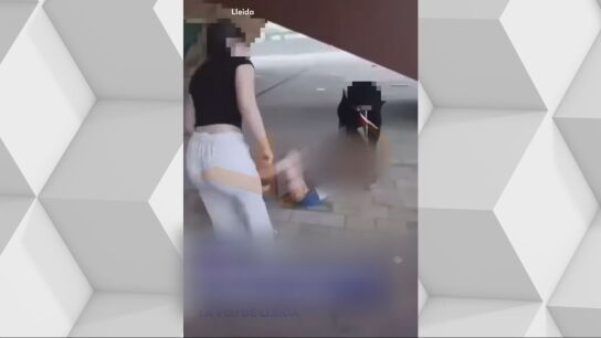 Brutal paliza a una ni&ntilde;a de 14 a&ntilde;os a manos de dos menores en Lleida: los Mossos la investigan