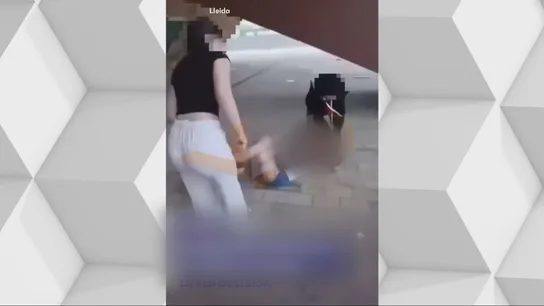 Brutal paliza a una niña de 14 años a manos de dos menores en Lleida: los Mossos la investigan Brutal paliza a una niña de 14 años a manos de dos menores en Lleida: los Mossos la investigan