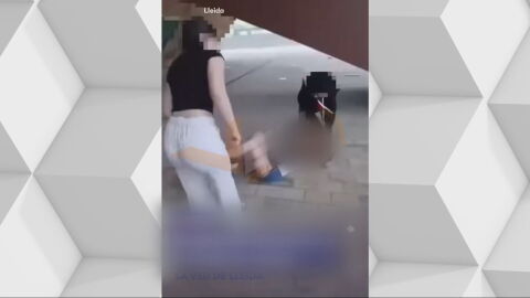 Brutal paliza a una ni&ntilde;a de 14 a&ntilde;os a manos de dos menores en Lleida: los Mossos la investigan