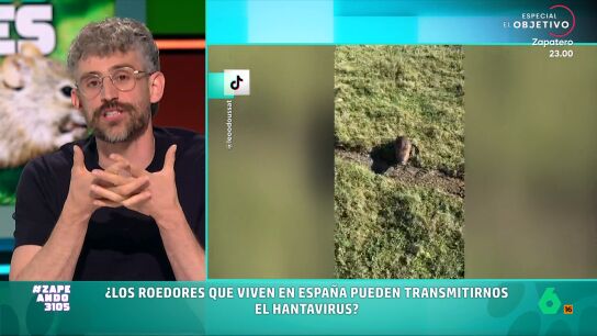 El veterinario expone que no debemos alarmarnos ya que el hantavirus se transmite a trav&eacute;s de una especie muy concreta: el rat&oacute;n colilargo. A pesar de ello, Algra expone que los ratones y ratas aut&oacute;ctonos pueden transmitir otras enfermedades. 