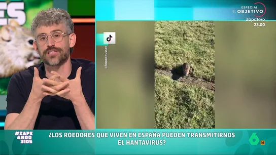 Víctor Algra aclara si los ratones autóctonos pueden transmitir el hantavirus, en vídeo El veterinario expone que no debemos alarmarnos ya que el hantavirus se transmite a través de una especie muy concreta: el ratón colilargo. A pesar de ello, Algra expone que los ratones y ratas autóctonos pueden transmitir otras enfermedades.