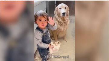 PERRO