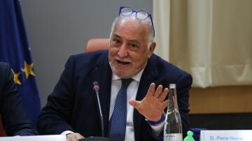 El director general de Tr&aacute;fico, Pere Navarro.
