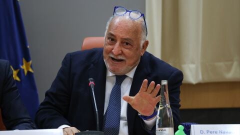 El director general de Tr&aacute;fico, Pere Navarro.