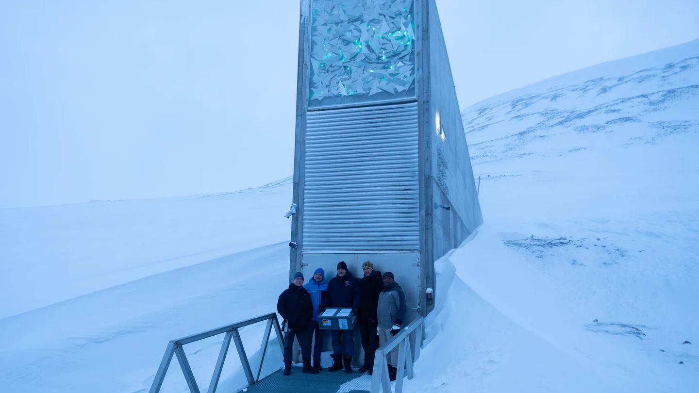 La Bóveda Global de Svalbard, el mayor banco mundial de semillas La Bóveda Global de Svalbard, el mayor banco mundial de semillas