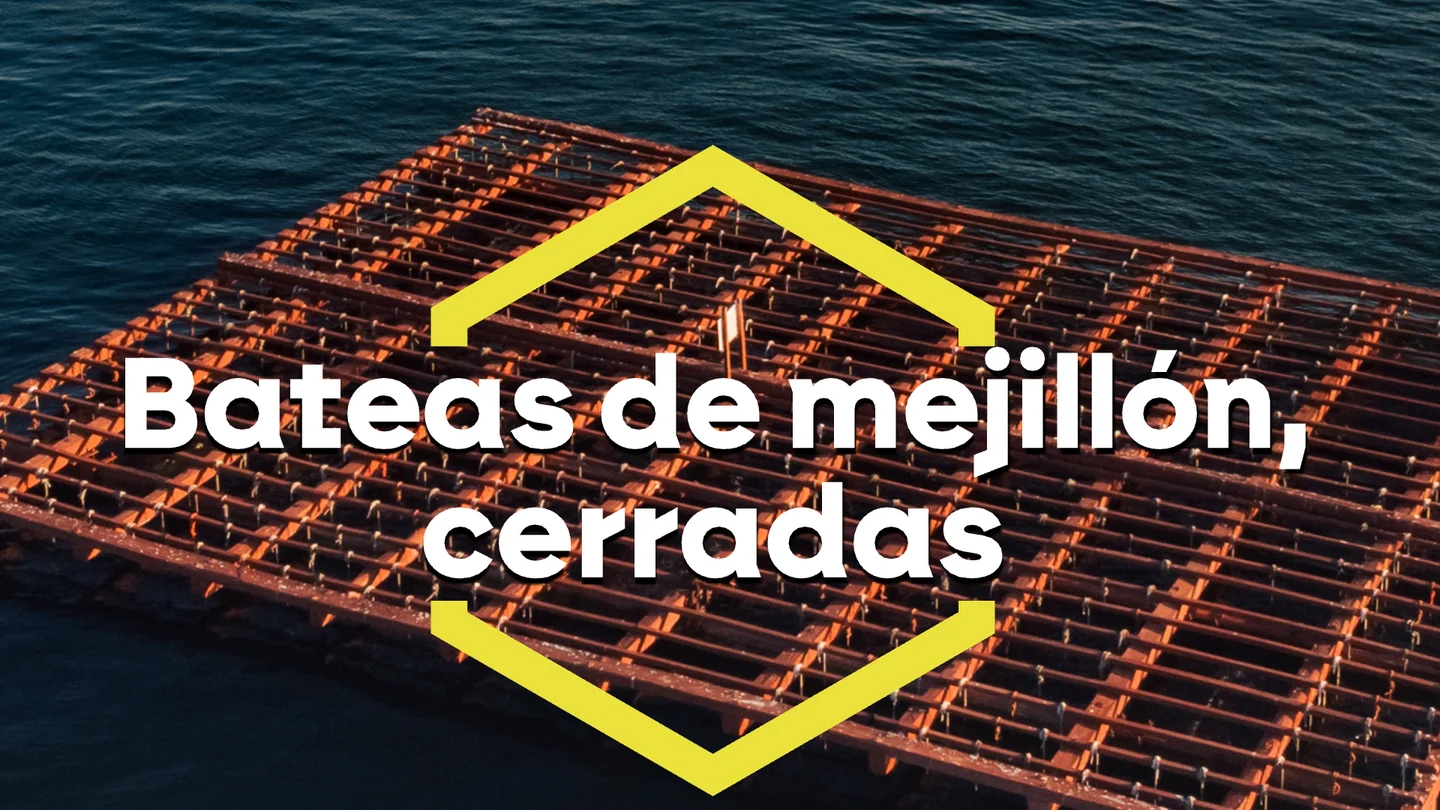 Sin mejillón en Galicia: los altos niveles de una toxina provocan el cierre de casi 3.500 bateas Sin mejillón en Galicia: los altos niveles de una toxina provocan el cierre de casi 3.500 bateas