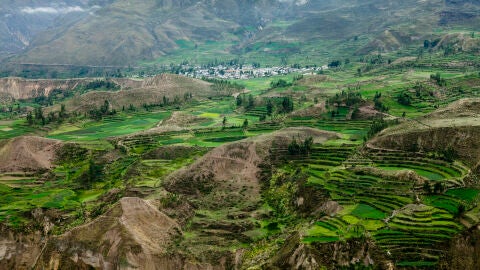 Terrazas del Valle del Colca