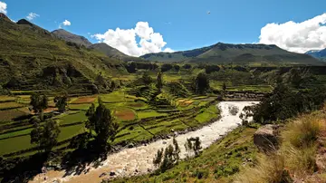 Valle del Colca. Perú Valle del Colca. Perú
