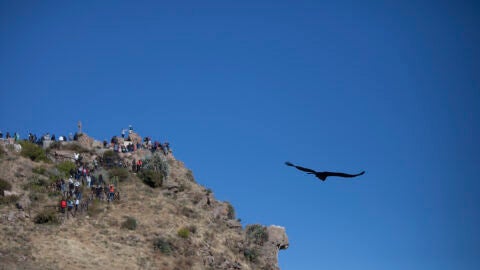 Cruz del Cóndor