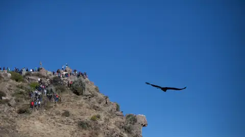 Cruz del Cóndor Cruz del Cóndor