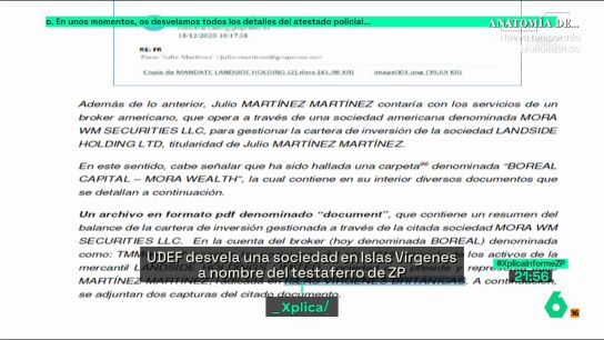 Informe de la UDEF