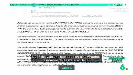 Informe de la UDEF Informe de la UDEF