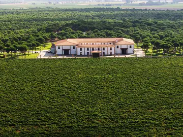 Pago de la Jaraba Pago de la Jaraba