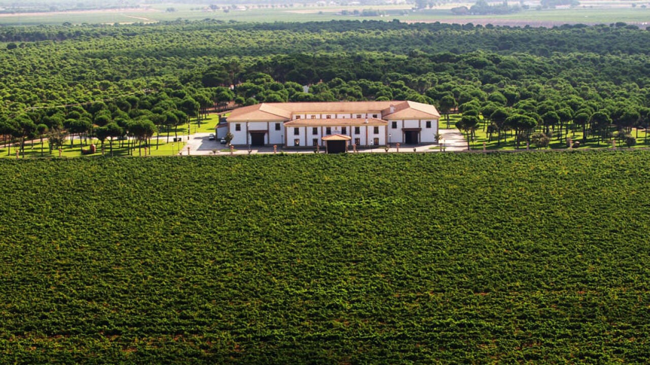 La Ruta del Vino de la Mancha también se recorre con mascotas