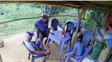 VACA