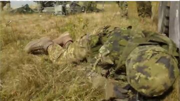 SOLDADO