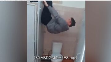 ABDOMINALES
