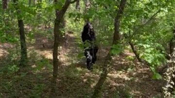 OSO