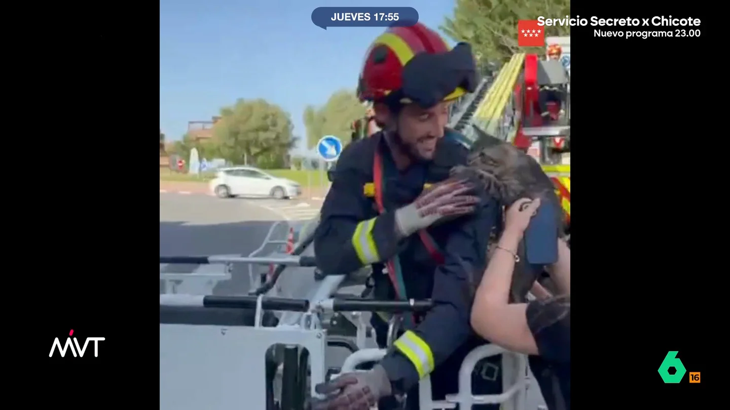 bombero gato bombero gato