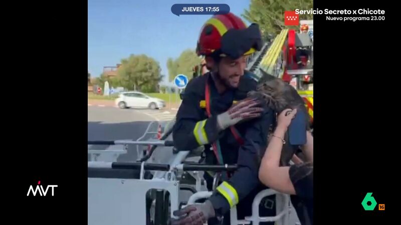 bombero gato