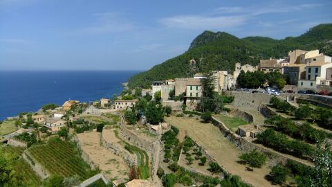 Terrazas en la Serra de Tramuntana