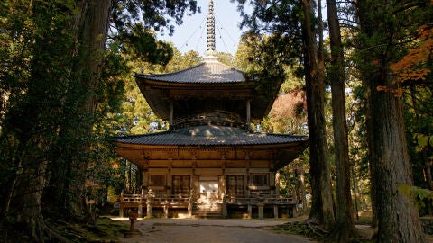 Templo budista de Kongobu-ji, Monte Koya