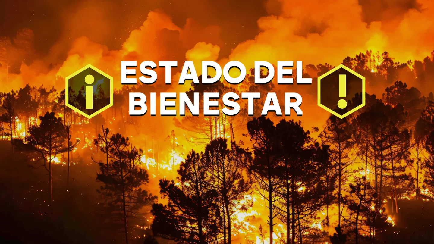 Inversiones antincendio "rídiculas" y silencio por respuesta: los vecinos de Castilla y León volverán a enfrentar solos los fuegos del verano Inversiones antincendio "rídiculas" y silencio por respuesta: los vecinos de Castilla y León volverán a enfrentar solos los fuegos del verano