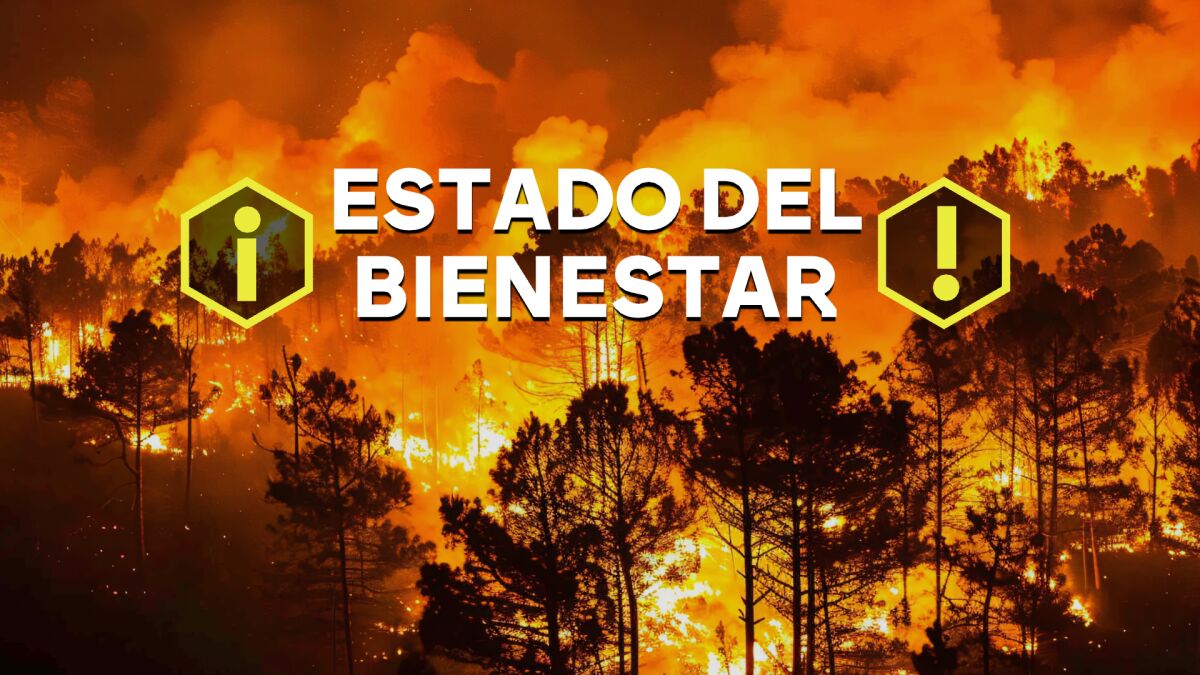 Inversiones 