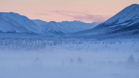 Bosques alrededor de Oymyakon