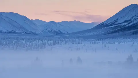 Bosques alrededor de Oymyakon Bosques alrededor de Oymyakon