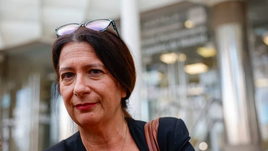 Leire Díez, exmilitante del PSOE, a las puertas de los Juzgados de Plaza de Castilla el pasado 17 de noviembre. Leire Díez, exmilitante del PSOE, a las puertas de los Juzgados de Plaza de Castilla el pasado 17 de noviembre. EFE/Mariscal