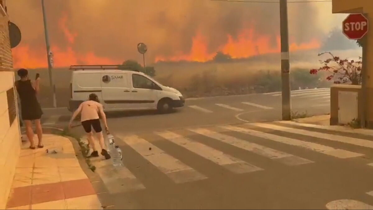 Calma en Los Garres (Murcia) tras el miedo por el fuego que arrasa 170 hectáreas: 