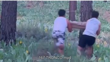 TRONCO