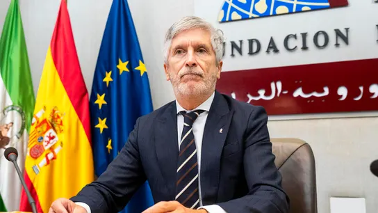 Imagen del ministro Marlaska. Imagen del ministro Marlaska.