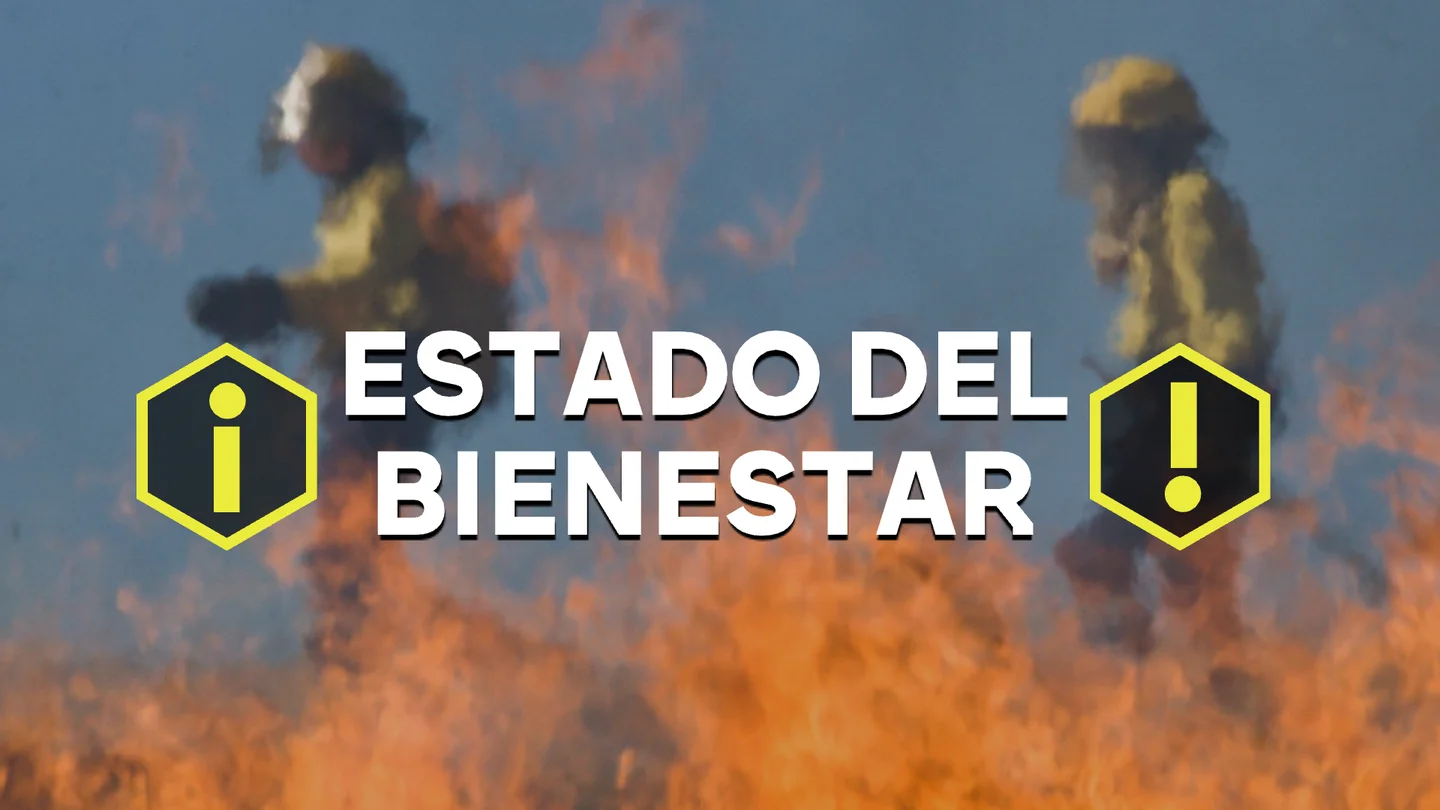 SOS Wildfire, la ONG de bomberos forestales que enseña a los pueblos de León a defenderse de los incendios: "No podemos obviar la realidad". SOS Wildfire, la ONG de bomberos forestales que enseña a los pueblos de León a defenderse de los incendios: "No podemos obviar la realidad".