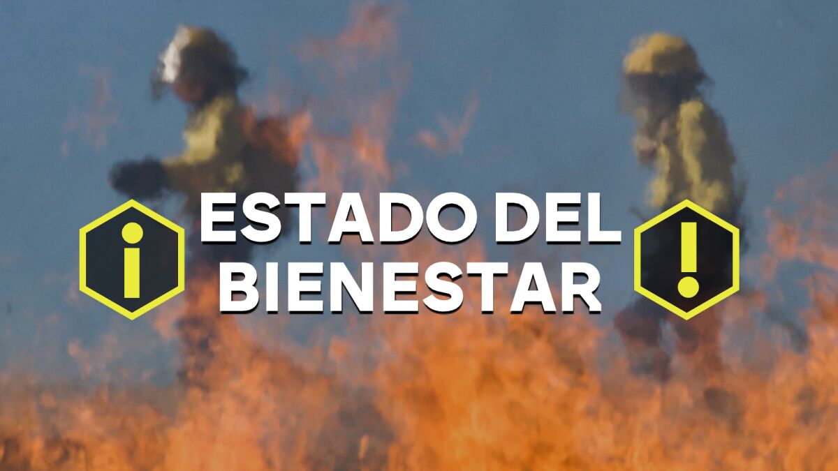 SOS Wildfire, la ONG de bomberos forestales que enseña a los pueblos de León a defenderse de los incendios: 