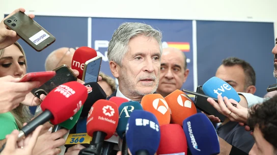El ministro del Interior, Fernando Grande-Marlaska, durante la puesta en funcionamiento del CENAM del dispositivo de seguridad para la visita del Papa El ministro del Interior, Fernando Grande-Marlaska, durante la puesta en funcionamiento del CENAM del dispositivo de seguridad para la visita del Papa