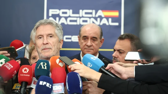 El ministro del Interior, Fernando Grande-Marlaska, durante la puesta en funcionamiento del CENAM del dispositivo de seguridad para la visita del Papa El ministro del Interior, Fernando Grande-Marlaska, durante la puesta en funcionamiento del CENAM del dispositivo de seguridad para la visita del Papa