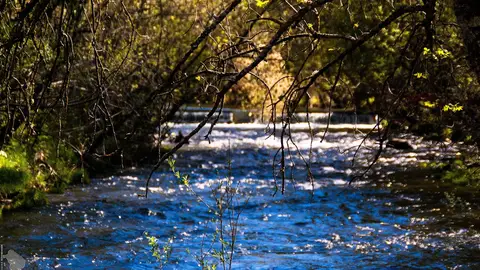 Río Lozoya Río Lozoya